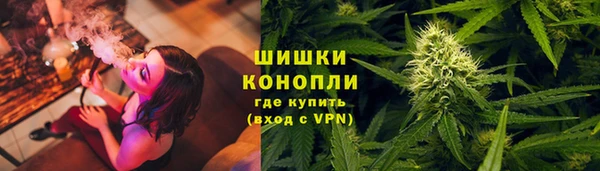 PSILOCYBIN Алзамай