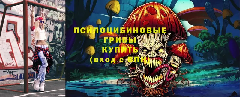 Галлюциногенные грибы MAGIC MUSHROOMS  где купить   Армянск 